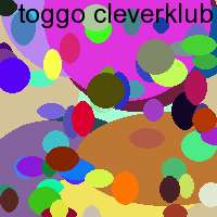 toggo cleverklub de